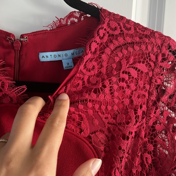 Antonio Melani Dress - Picture 3 of 5